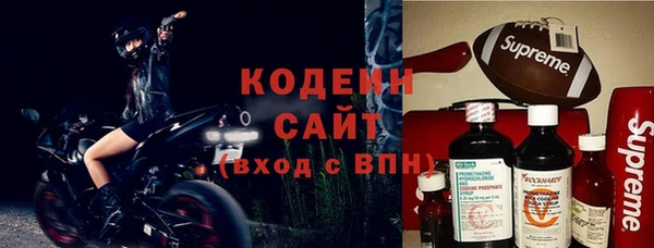прущие грибы Богородицк