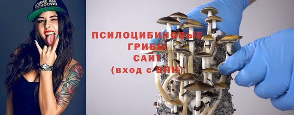 мдпв Беломорск