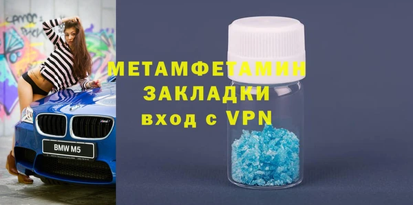 прущие грибы Богородицк