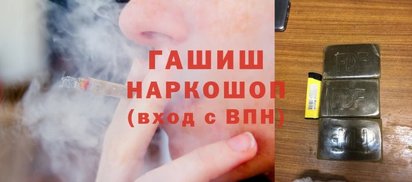 дурь Няндома