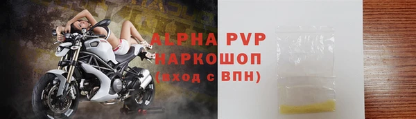 ПСИЛОЦИБИНОВЫЕ ГРИБЫ Богданович
