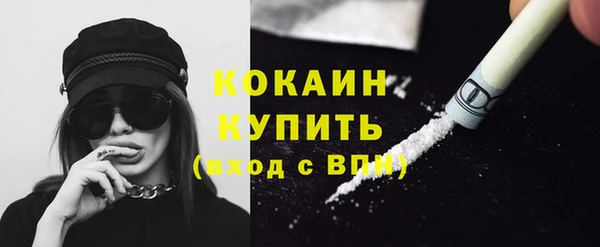 ПСИЛОЦИБИНОВЫЕ ГРИБЫ Богданович