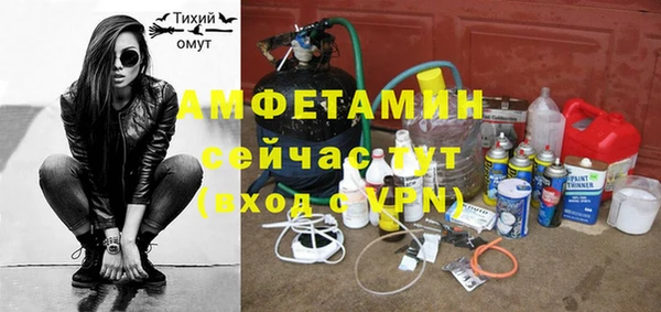 ПСИЛОЦИБИНОВЫЕ ГРИБЫ Богданович